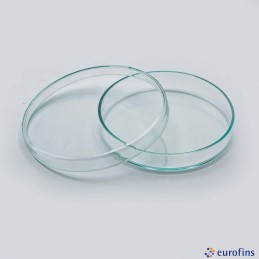 N8044 - Boîte de Pétri en...